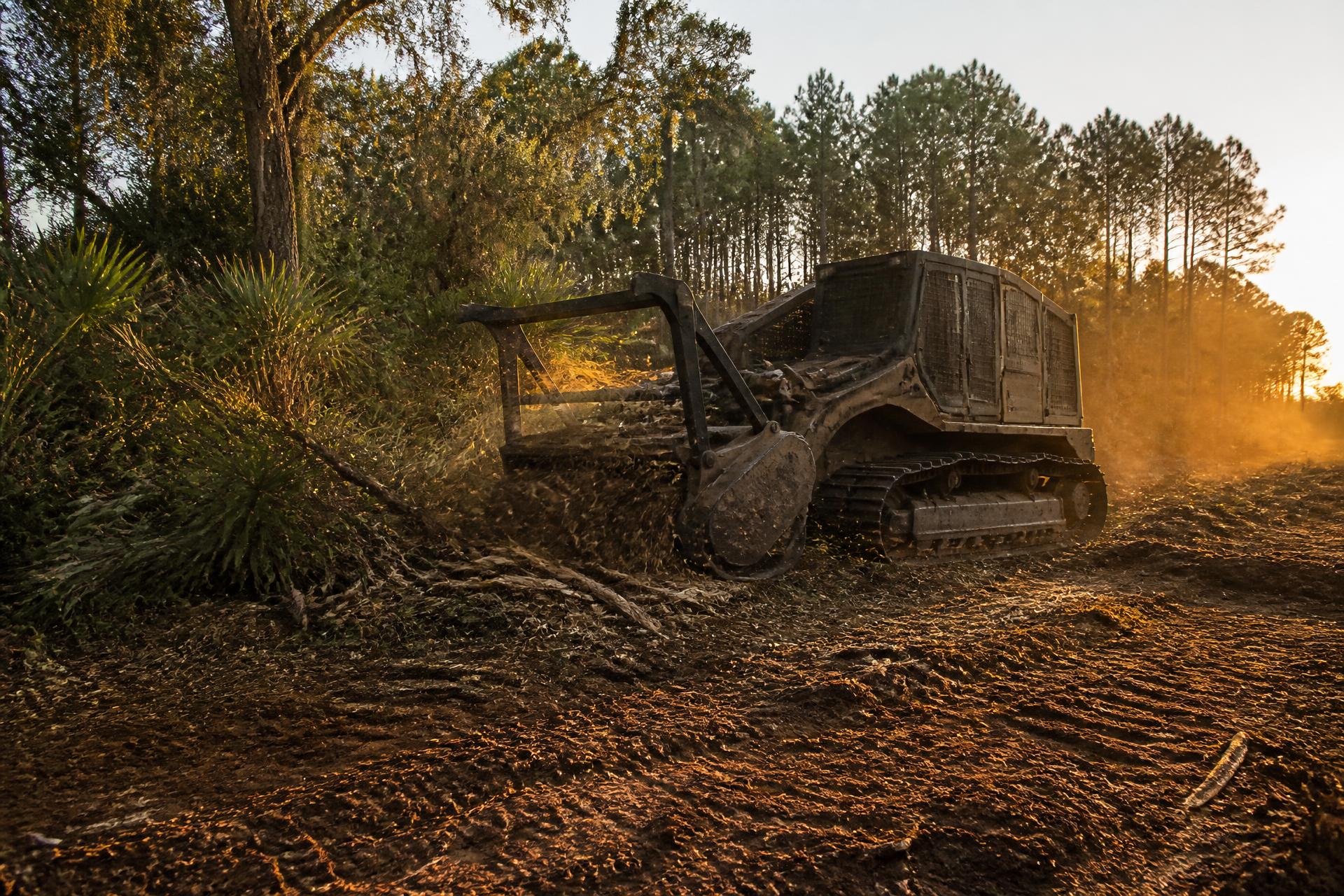 Land Clearing work on a rural property near Ocala, Florida